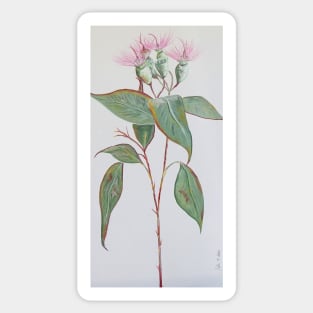 Pink Gumnut Stem - Beautiful Soft Flower Sticker